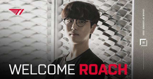 疑是完美的 疑是完美的